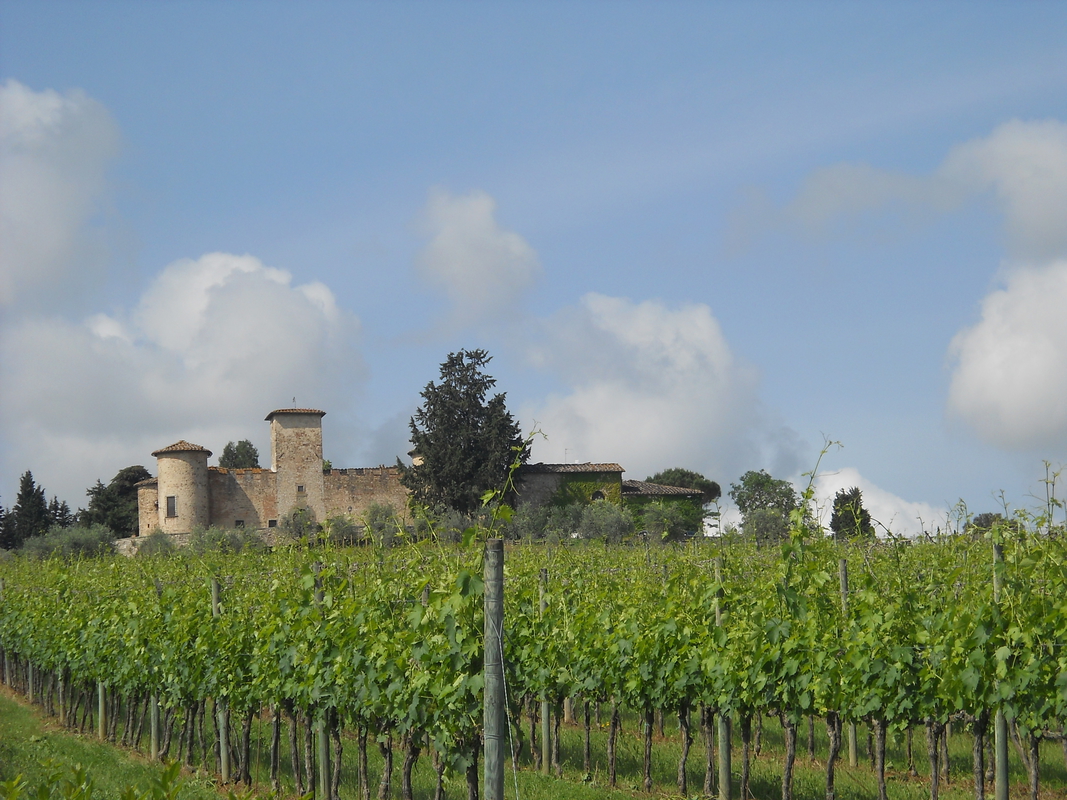 A Chianti vidék szőlősdombjai