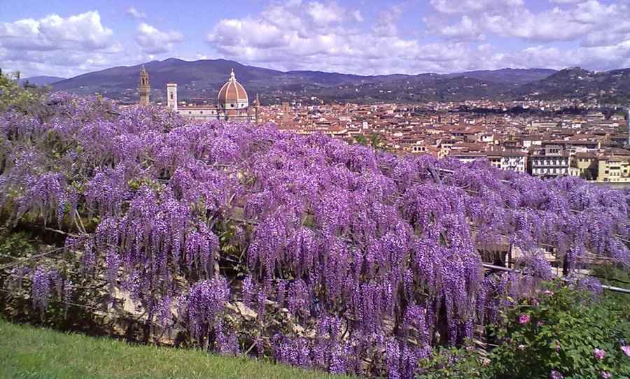 Firenze tavasszal